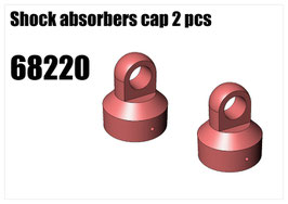 Shock absorbers cap 2pcs