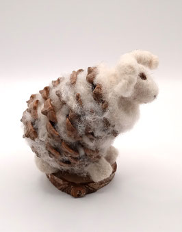 brebis pomme