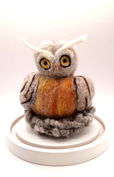 hibou dans son nid