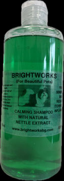 Skincare Nettle Shampoo