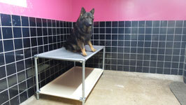 Lit  Superposé pour chien de taille EX-Medium 1250 mm x 850 mm  H 540 mm ( hauteur modifiable)