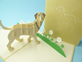 Carte pop-up chien au jardin