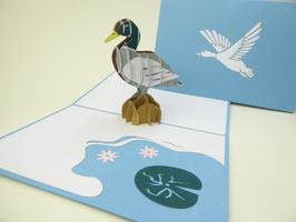 Carte pop-up Canard