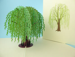 Carte pop-up Saule pleureur