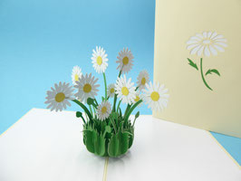 Carte pop-up Marguerites