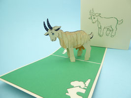 Carte pop-up Chèvre