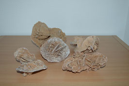 Sandrosen-Set - 2 kg