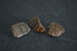 versteinertes Holz-Trommelstein