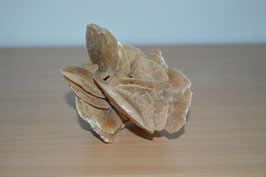 Sandrose, mittel