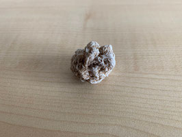 Sandrose, gefrostet - 1