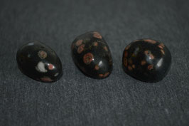 Regenwald-Rhyolith-Trommelstein