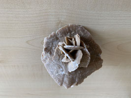 Sandrose - 10
