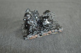 Schneeflocken-Obsidian-Entenpaar auf Schneeflocken-Obsidian