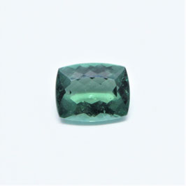 20265 Turmalin Verdelith 2,895ct 117.-/ct