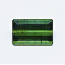 20257 Turmalin Verdelith 9,530ct 117.-/ct