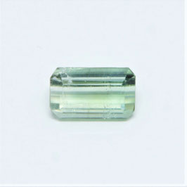 20514 Turmalin Verdelith 2,890ct 75.-/ct