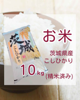 茨城県産コシヒカリ　新米　10kg　精米済(送料込)