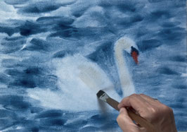 Schwan