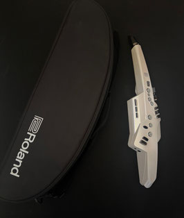 Roland Aerophone AE-10