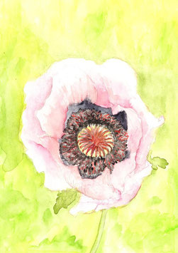 Grußkarte Mohn