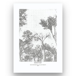 No11 Sage Rosemary Dill Allium Parsley  - Poster