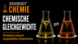 Chemische Gleichgewichte - Verstehen anhand ausgewählter Experimente