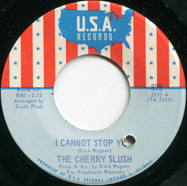 Cherry Slush (The) - I Cannot Stop You / Don't Walk Away - US USA 895