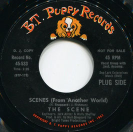 Scene (The) - Scenes (From Another World) / You're In A Bad Way - US B.T. Puppy 45-533