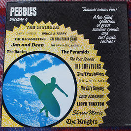 Various Artists - Pebbles Vol. 4 - Summer Means Fun - BFD-5021