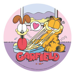 Disque Azyme 20 cm Garfield