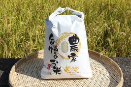 無農薬コシヒカリ10kg玄米