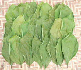 無農薬柿の葉乾燥品20g
