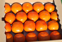 富有柿　5kg