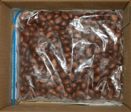 無農薬びわの種急速冷凍品500g