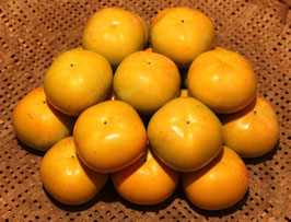 太秋柿　5kg