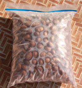 無農薬びわの種急速冷凍品500g