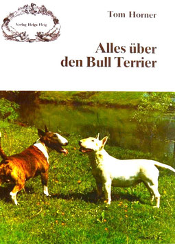 Alles über den Bull Terrier