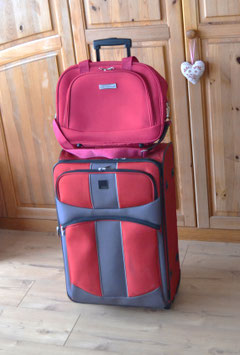 Koffer-Trolly mit Kosmetiktasche rot-schwarz
