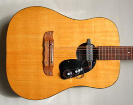 1960's Kings Country & Western 12-string with PU unit