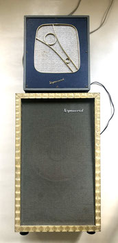 1950's Dynacord KV10 combo amplifier with 1950's Dynacord Minette LSP box