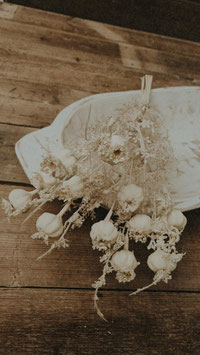 Poppy bouquet “cream ”