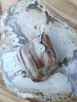 Versteinertes Holz