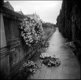 Essere HOLGA, n. 106