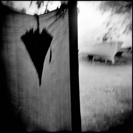 Essere HOLGA, n. 100