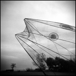 Essere HOLGA, n. 18