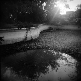 CR 5A029 - 2017 | Essere HOLGA, n. 98