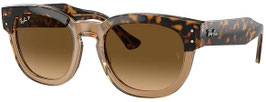 Ray Ban | 0298S | 1292/M2