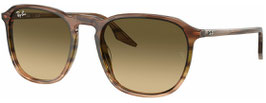 Ray Ban | Sonnenbrille | 2203 | 1392/0A