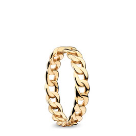 BERING | Arctic Symphony | gold glänzend | 583-20-x2