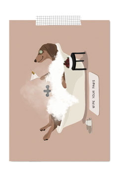 Wipe your paws